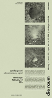 2011 0001 camilla sposati: <em>submarine rescue signal</em>&nbsp;